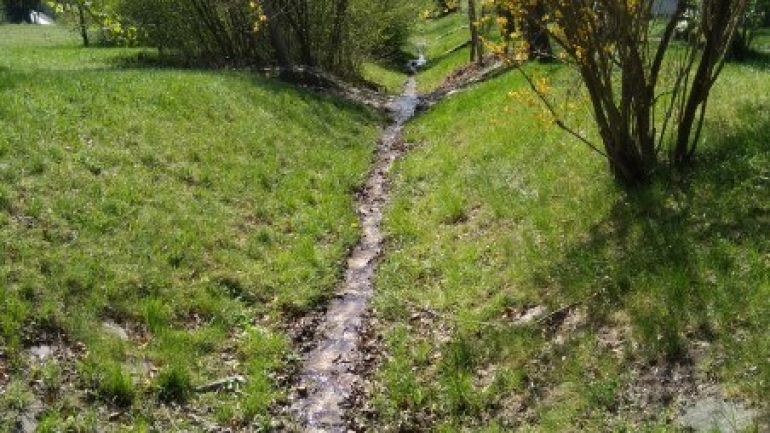 Kleiner Bach in einer Wiese