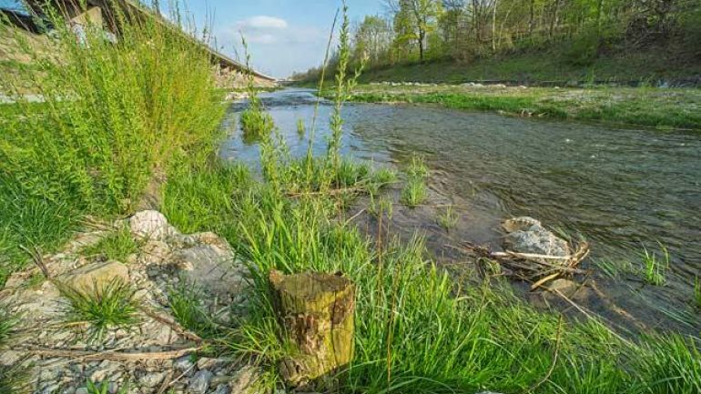 naturnah gestalteter Abschnitt des Wienflusses