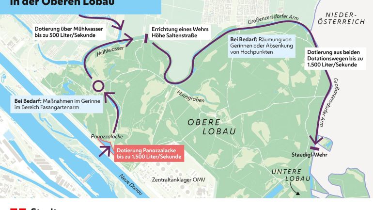 Lobau-Karte mit eingezeichnetem Verlauf der Dotierung