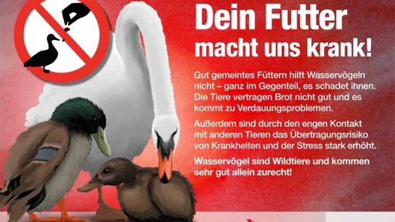 copyright: MA 45 Kampagnen-Sujet: Enten, Schwan, darüber Text "Dein Futter macht uns krank!"