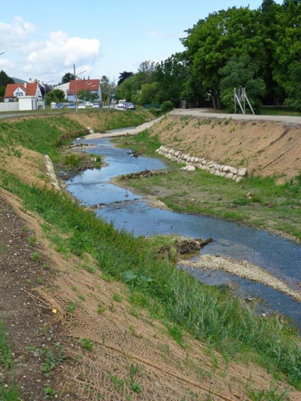 renaturierter Petersbach