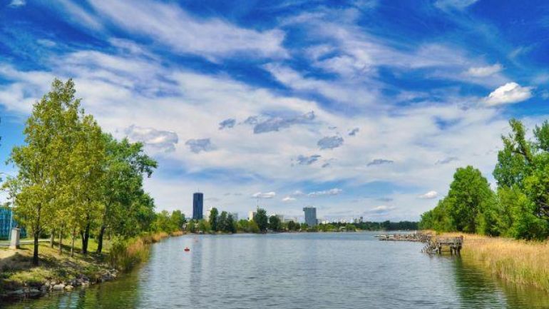 Gewässer, am Ufer Schilf und Bäume, im Hintergrund Skyline Wiens