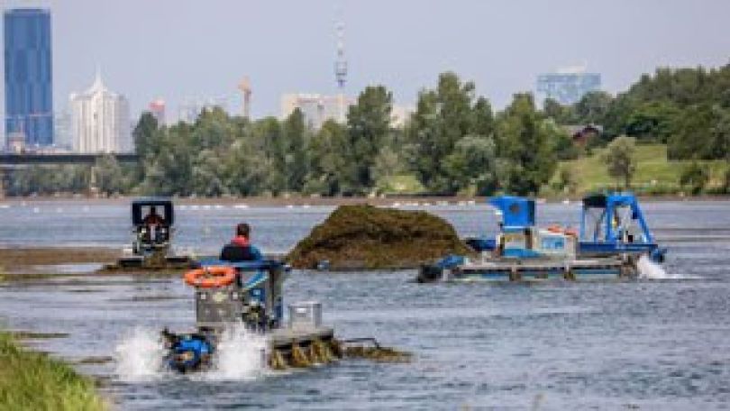 Mähboote fahren auf der Neuen Donau