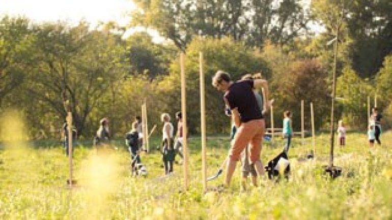 Frauen und Männer mit Schaufeln und Gießkannen bepflanzen eine grüne Freifläche.