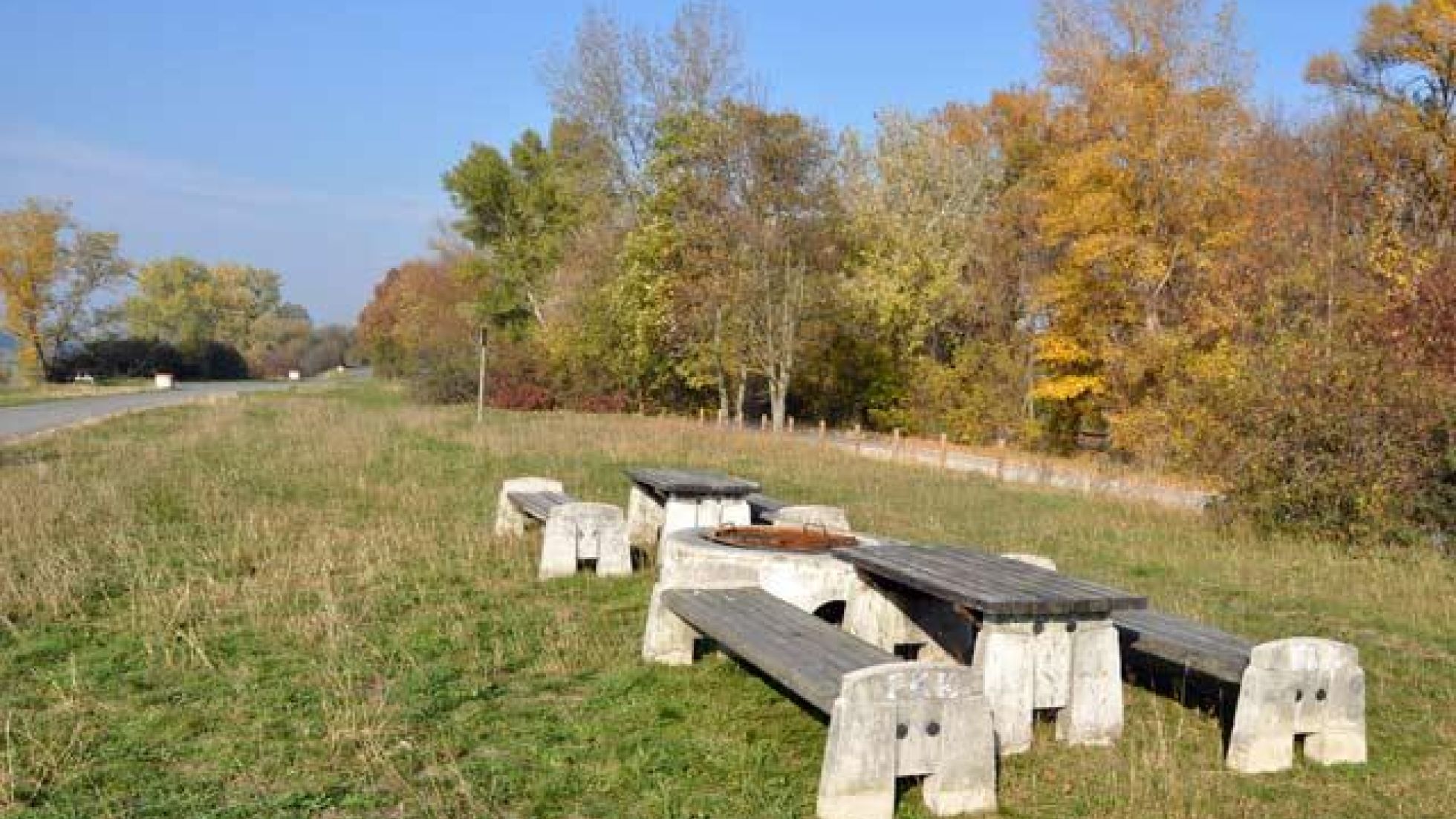 Holzkohlegrill, Bänke und Tische auf einer Wiese