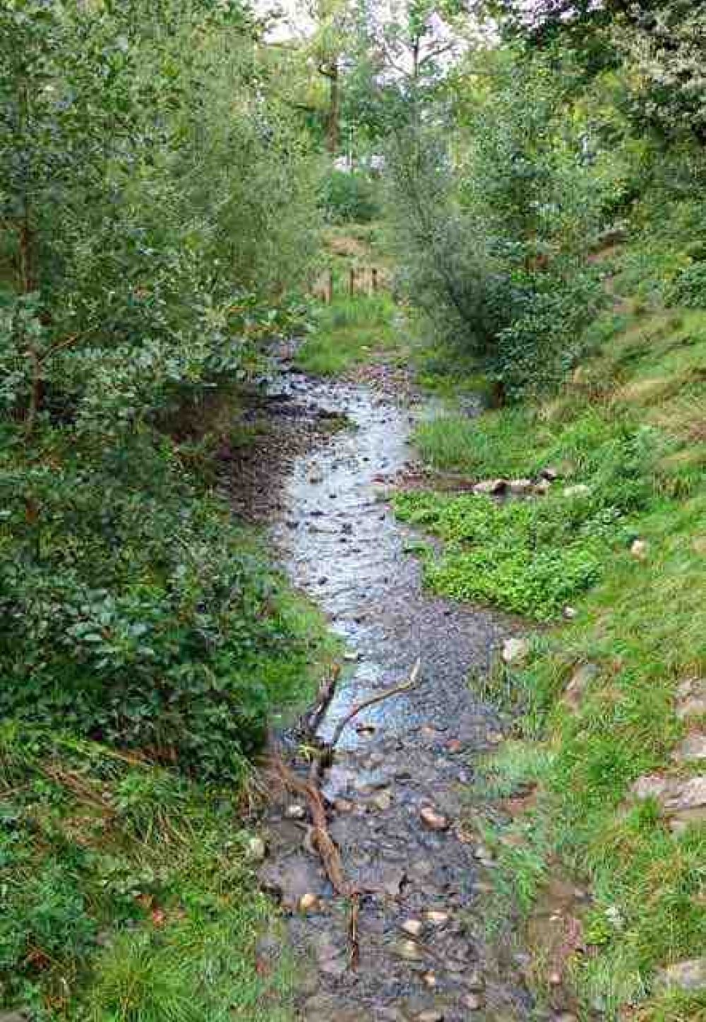 <p>Der renaturierte Bachlauf im Jahr 2017</p> Der renaturierte Bachlauf des Eckbaches