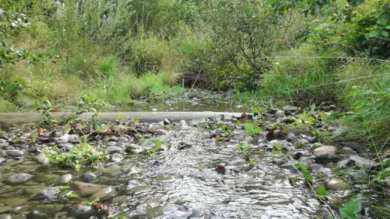 copyright: MA 45 Kinder spielen im Bachbett des Eckbaches
