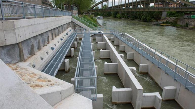 Im Wasser stehende Betonmauern der Fischaufstiegshilfe mit Gitter-Steigen darüber.