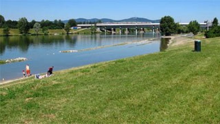 Wiese am Wasser, im Hintergrund Wasser, Bäume und eine Brücke.