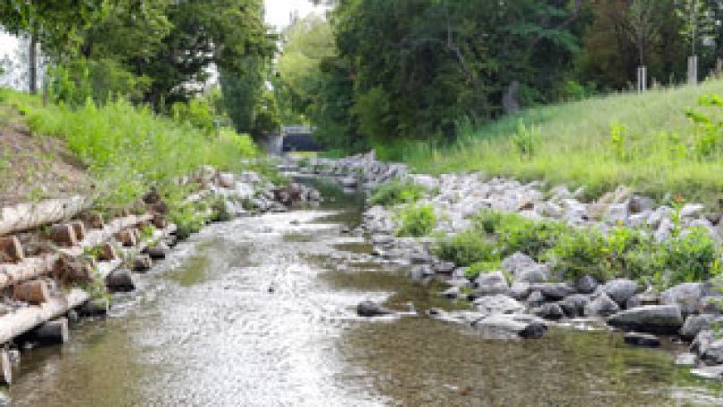 copyright: Stadt Wien/Christian Fürthner Liesingbach mit renaturiertem Bachbett und Uffern. Bachaufwärts fotografiert.
