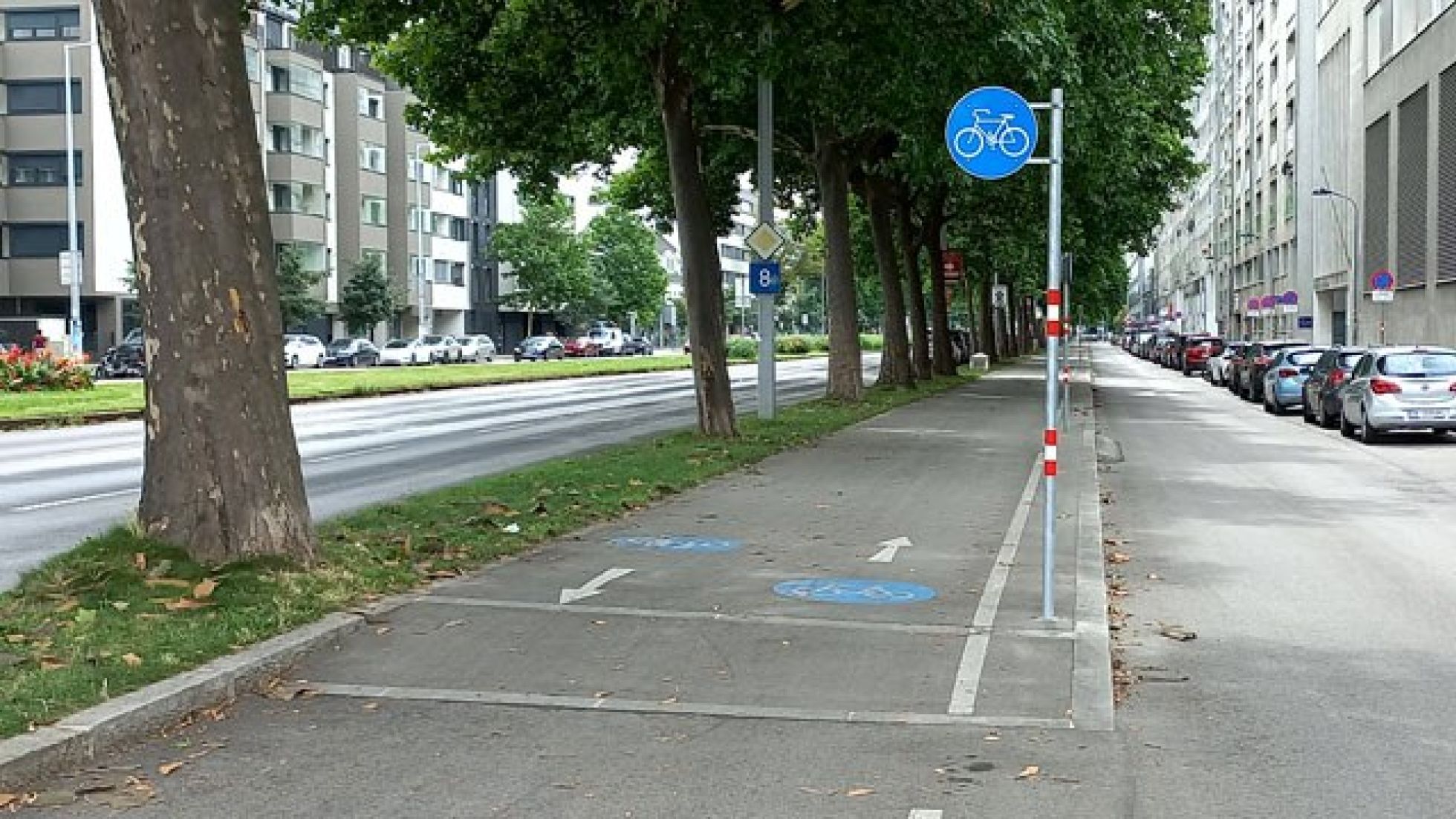 copyright: MA 46 Der Radweg befindet sich zwischen einer Nebenfahrbahn und einem Grünstreifen mit Bäumen, dahinter ist eine mehrspurige Straße. Der Radweg ist mit einem Verkehrszeichen und Piktogrammen am Boden gekennzeichnet.