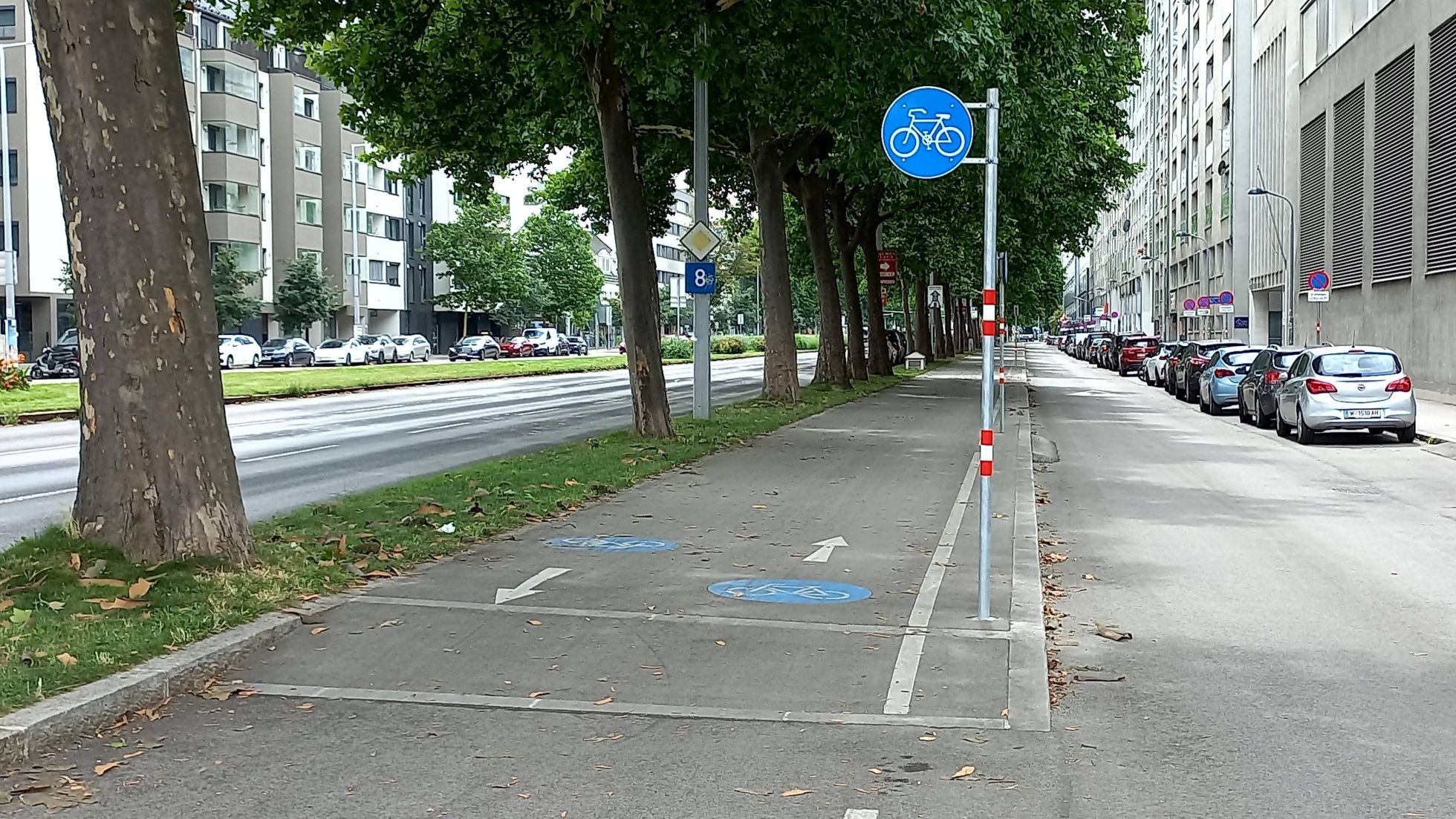 copyright: MA 46 Der Radweg befindet sich zwischen einer Nebenfahrbahn und einem Grünstreifen mit Bäumen, dahinter ist eine mehrspurige Straße. Der Radweg ist mit einem Verkehrszeichen und Piktogrammen am Boden gekennzeichnet.