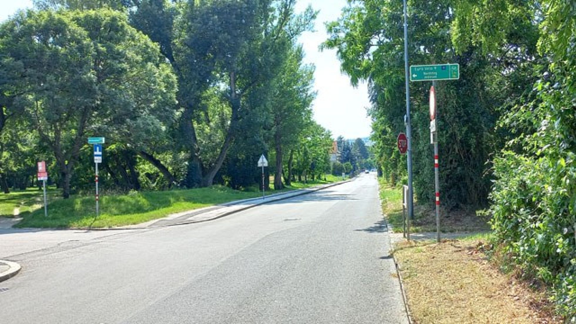 copyright: MA 46 An einer Kreuzung zeigt ein Radweg-Hinweisschild nach links in eine Sackgasse ausgenommen Radverkehr. Die Straße ist leer, auf beiden Seiten stehen Bäume.