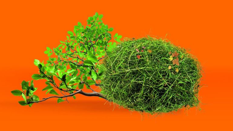 Grünschnitt vor orangem Hintergrund