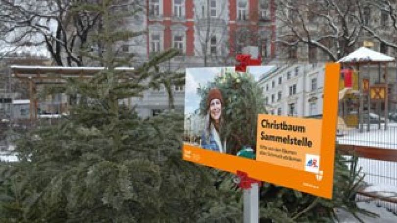 copyright: MA 48 Christbaumsammelstelle mit abgegebenen Christbäumen