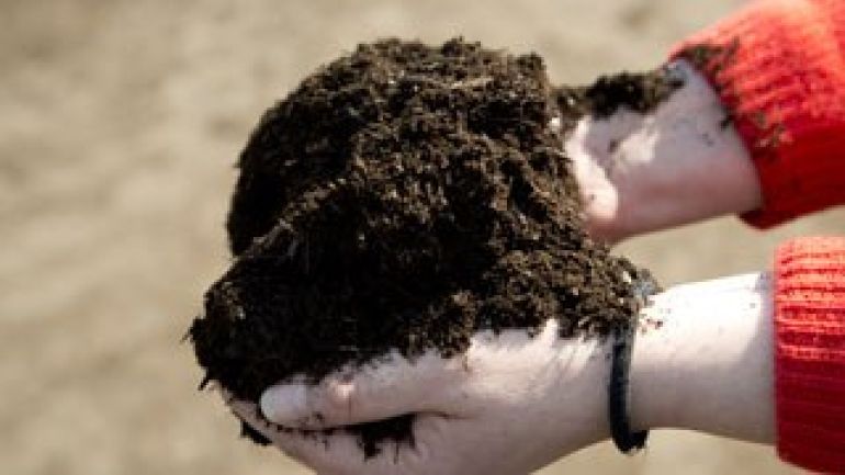 copyright: Felicitas Matern 2 Hände voll Komposterde