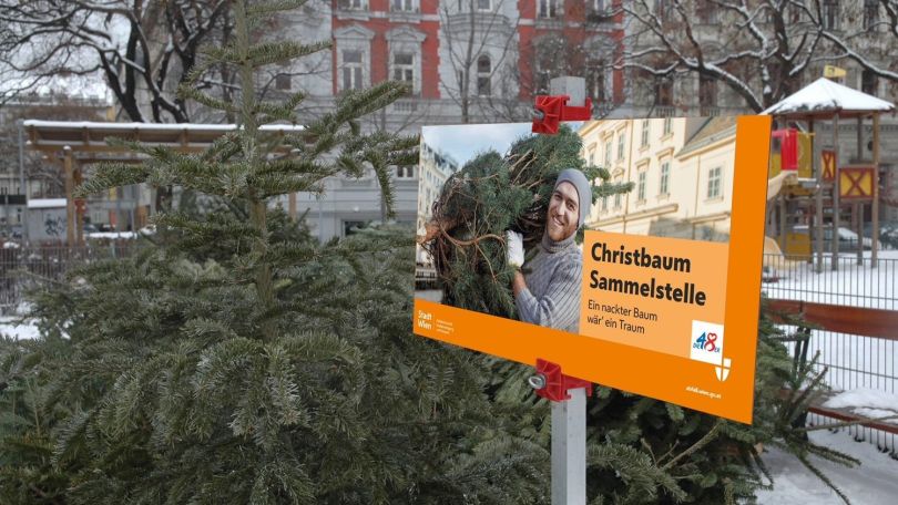 Christbaum neben Schild "Christbaum-Sammelstelle"