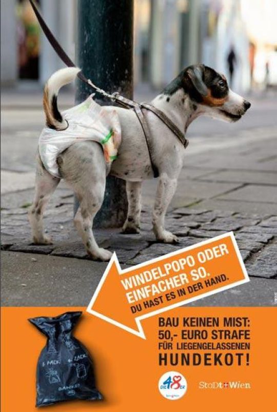 copyright: MA 48/UNIQUE Hund mit einer Windel