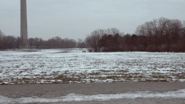 copyright: MA 48 Person schiebt eine Mobil-Toilette hinter einen im Park spazierengehenden Hund. Abschließend Info über Hundekotsackerlspender und mögliche Strafen.