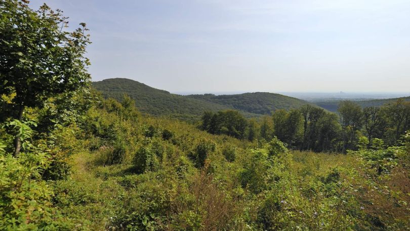 Blick vom Wienerwald Richtung Wien