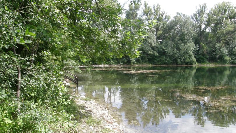 Ruhiges Gewässer mit dichten Bäumen und Sträuchern am Ufer.