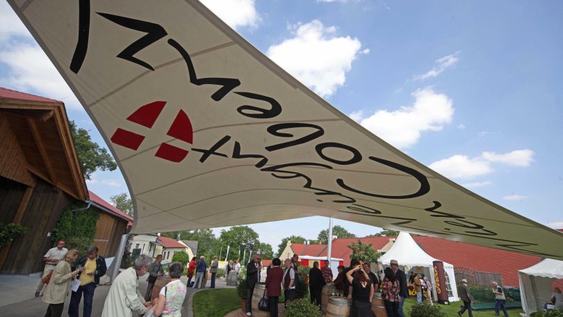 Besucherinnen und Besucher des Weingut Cobenzl, Sonnensegel