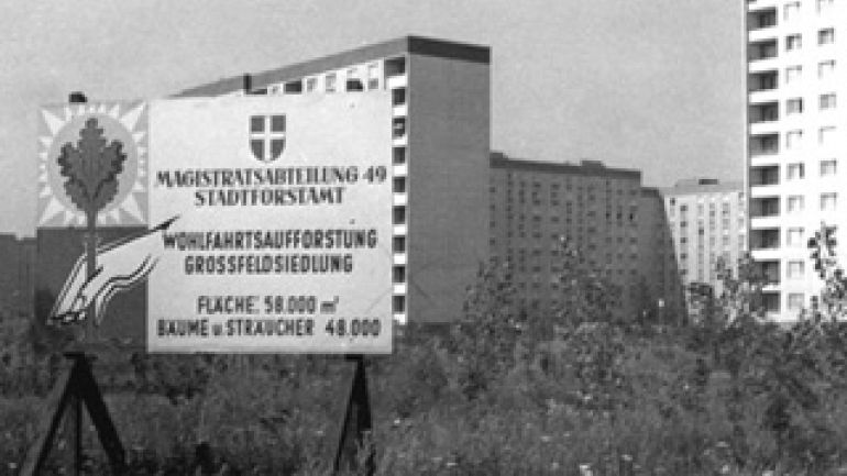 Aufforstung der Großfeldsiedlung in den Jahren 1973/74 durch das Forstamt der Stadt Wien