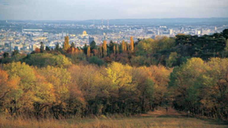 Blick auf den Lainzer Tiergarten