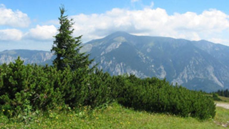 Blick auf den Schneeberg