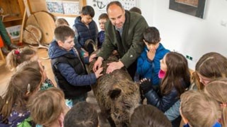 Ein Mann zeigt Kindern ein ausgestopftes Tier.