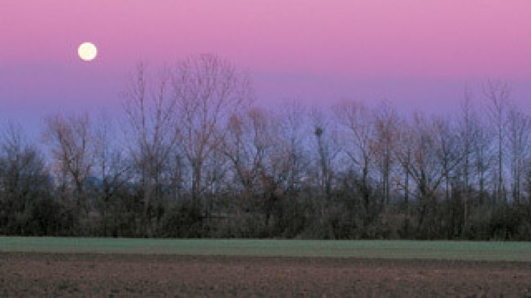 copyright: MA 49/Lammerhuber Windschutzstreifen