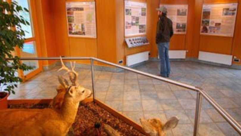 Ausstellungsraum im Infozentrum