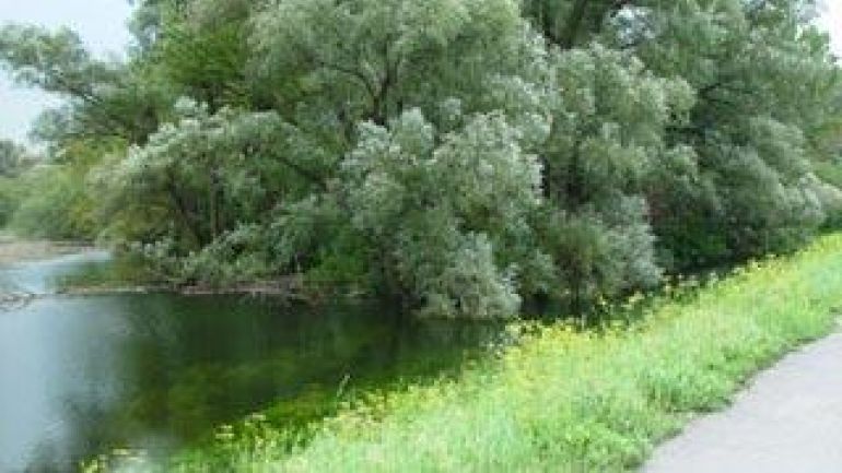 Ein Hochwasserschutzdamm