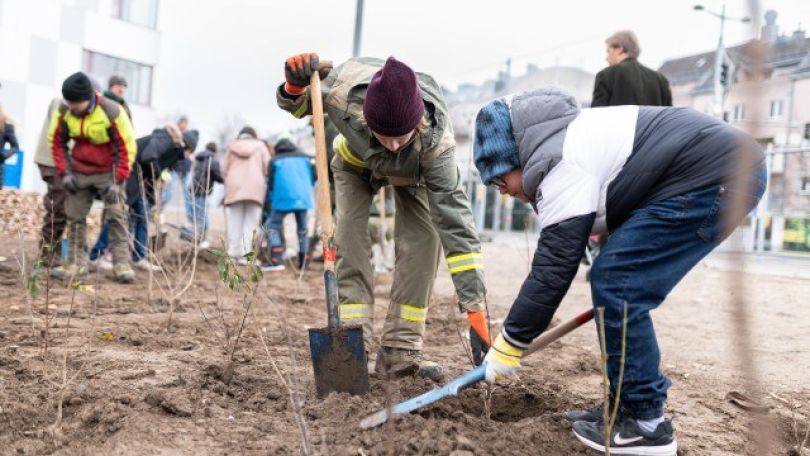 "Wiener Wäldchen" am Margaretengürtel im Frühjahr