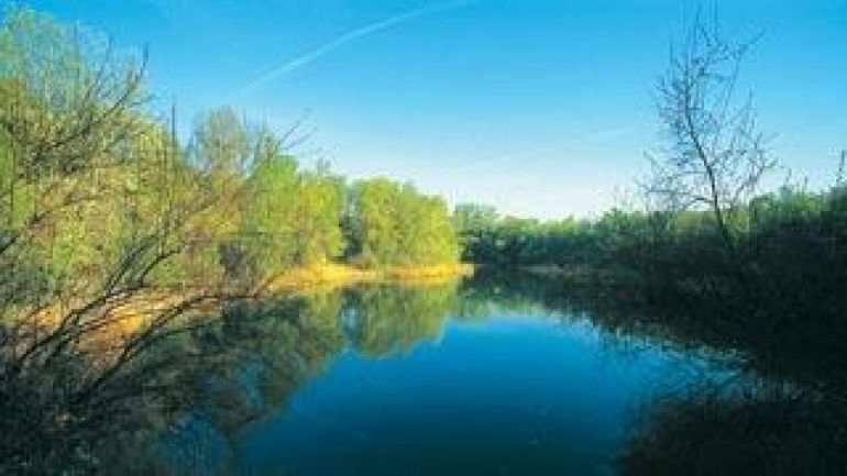 Blick auf einen Teich