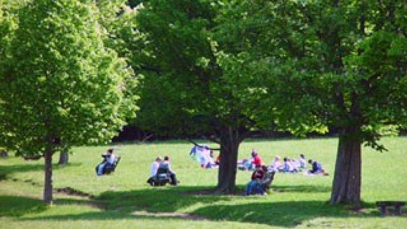 Menschen auf einer Wiese