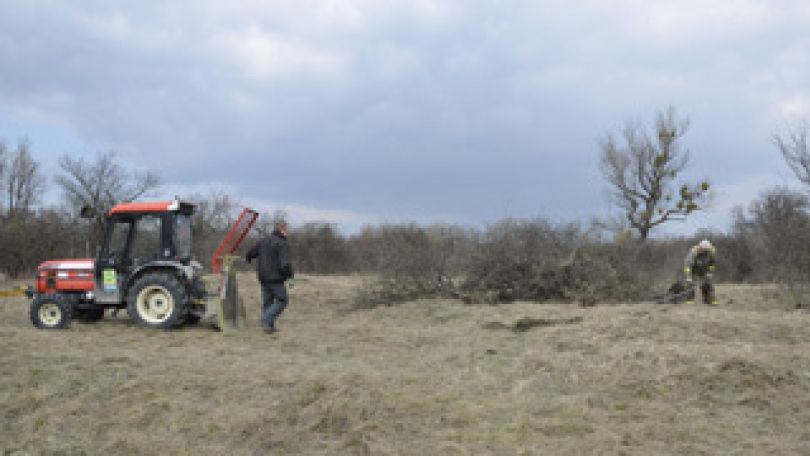 Forstarbeiter mit Traktor