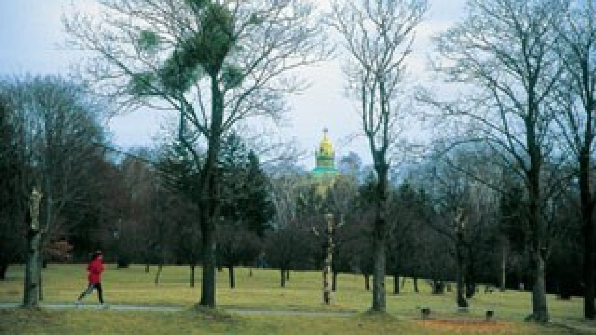Blick auf die Steinhofgründe