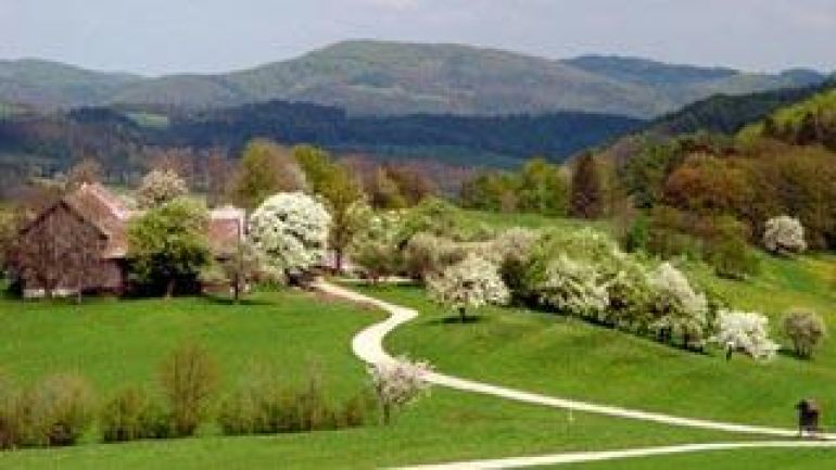 Eine Landschaft mit Wegen und blühenden Bäumen