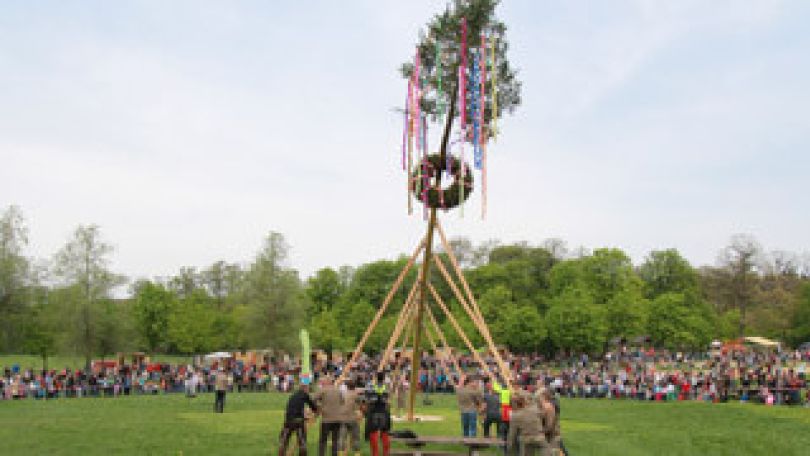 copyright: MA 49 - Forstbetrieb der Stadt Wien Maibaumaufstellen im Lainzer Tiergarten