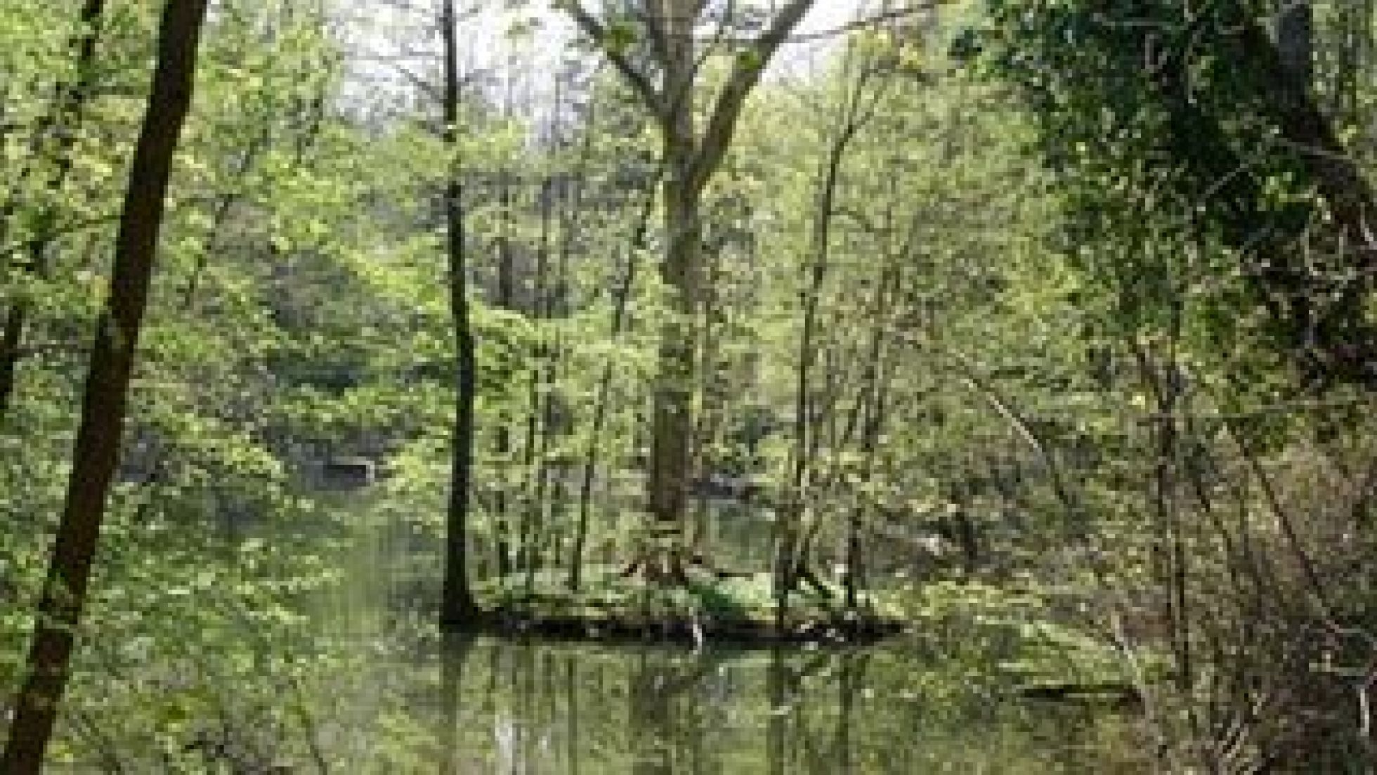 copyright: MA 49 Der Dehneteich