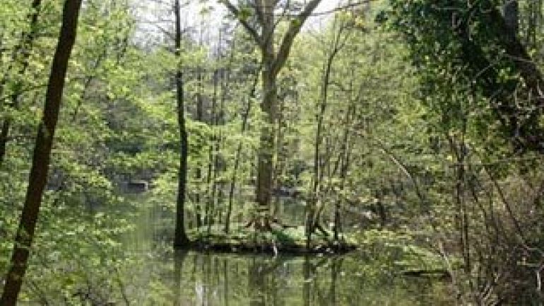 copyright: MA 49 Der Dehneteich