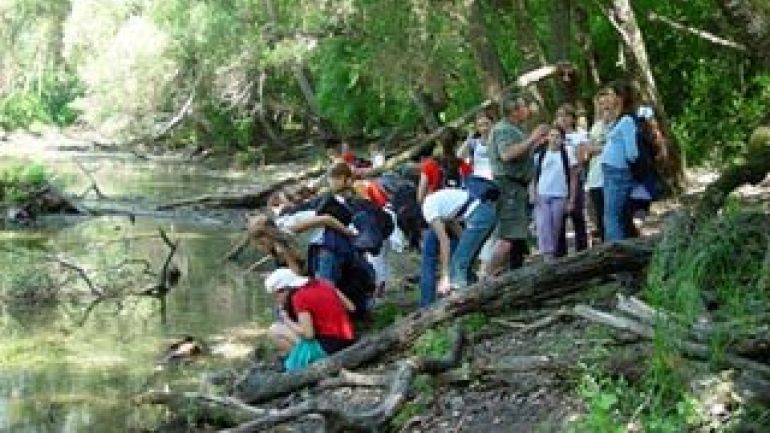Menschen am Fluß während einer Erlebniswanderung in der Lobau