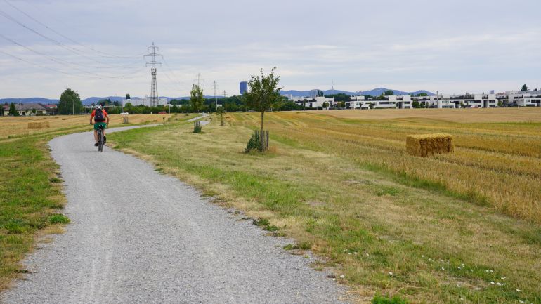 copyright: Forst- und Landwirtschaftsbetrieb Radfahrer fährt auf Schotterweg durch Felder in der Neuen Lobau