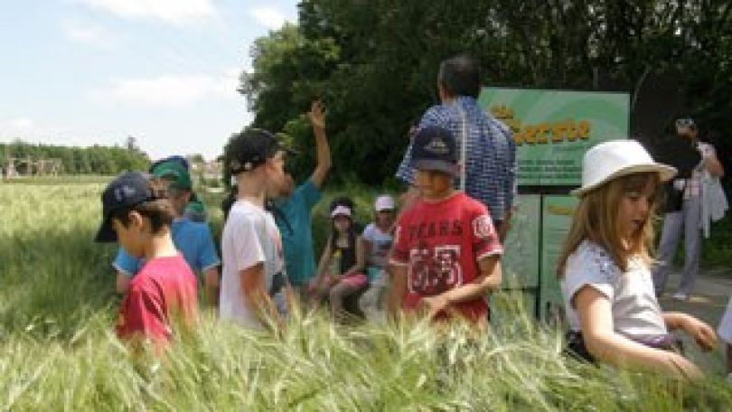 copyright: MA 49 - Forstamt und Landwirtschaftsbetrieb der Stadt Wien Kinder auf einem Themenweg