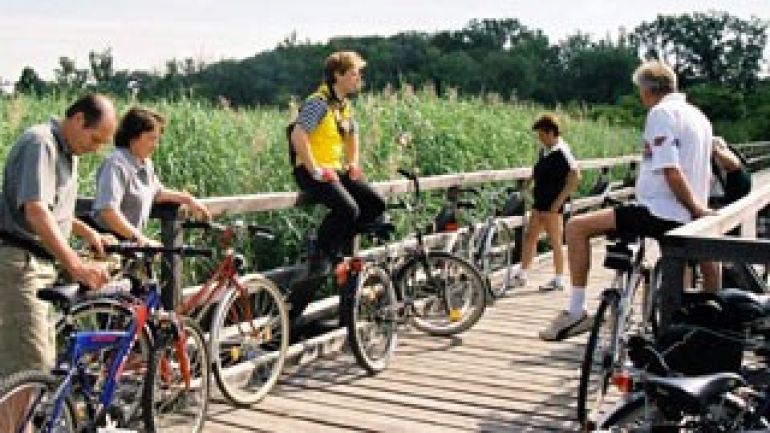 Radfahrerinnen und Radfahrer in der Lobau