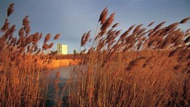 Erholungsgebiet Wienerberg