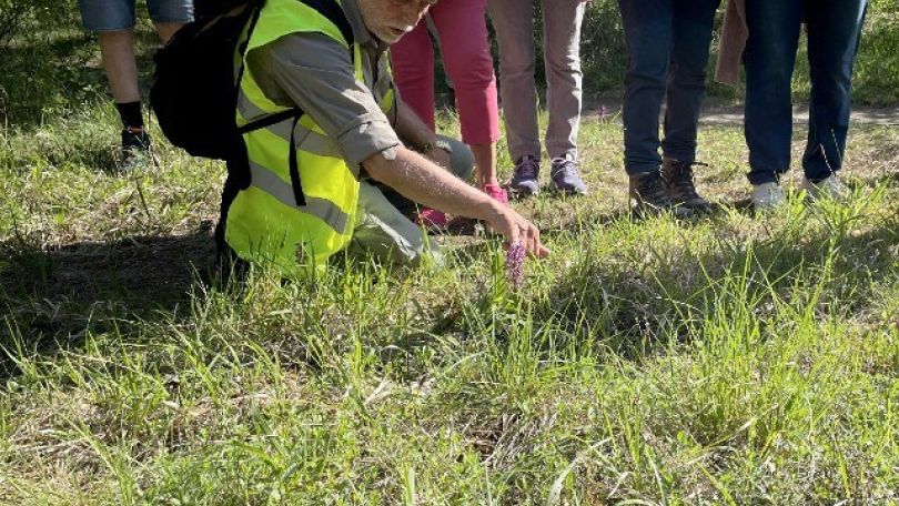 Mann mit Schirmkappe kniet in Wiese und zeigt auf Orchidee