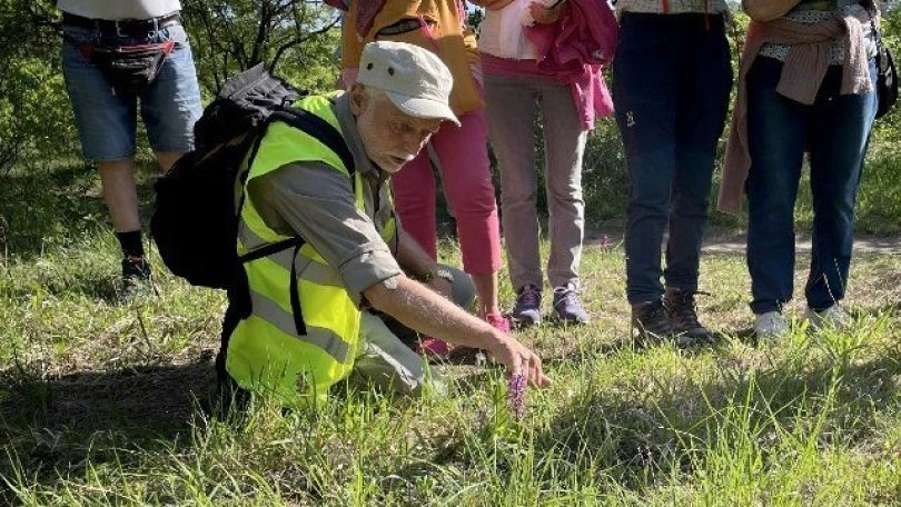 Mann mit Schirmkappe kniet in Wiese und zeigt auf Orchidee