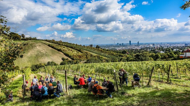 Gäste beim Weinwandertag in den Weingärten Wiens
